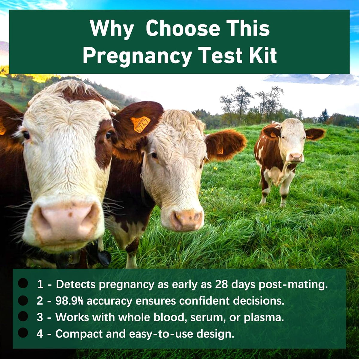 Bovine Pregnancy Test Kit - Includes 2 Tests, Rapid Results in 5-20 Minutes for Dairy & Beef Cows, Whole Blood, Serum & Plasma-Based Tests