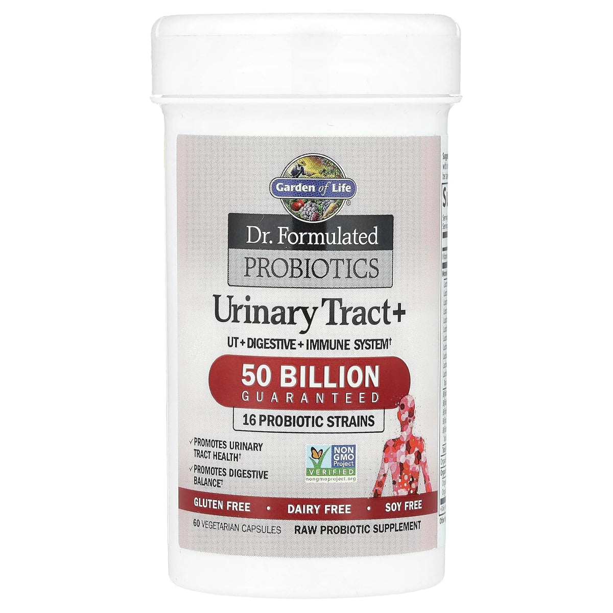 Garden of Life Probiotic Supplement for Urinary Tract Health - Dr. Formulated Urinary Tract+ for Digestive and Urinary Tract Support, Shelf Stable, 60 Capsules