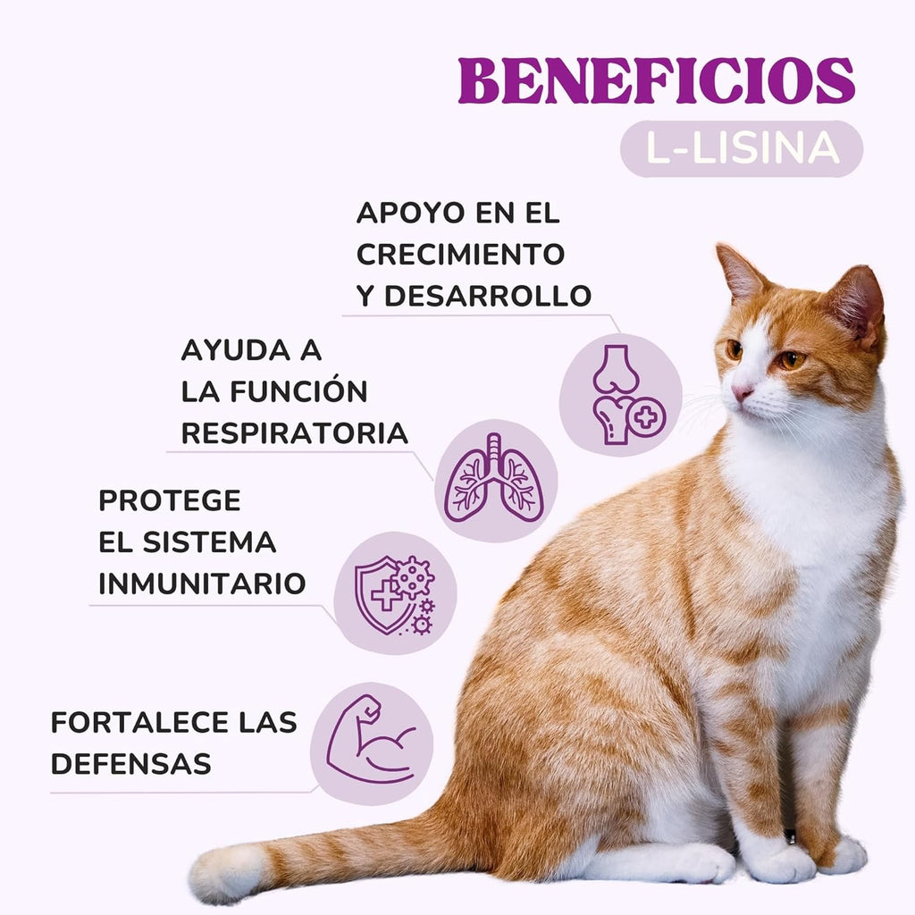 Lysine Cats with Essential Amino Acids to Support Immune System, Support Airways and Prevent Feline Herpes, Natural Supplement for All Breeds and Ages