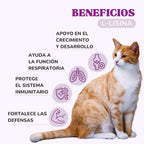 Lysine Cats with Essential Amino Acids to Support Immune System, Support Airways and Prevent Feline Herpes, Natural Supplement for All Breeds and Ages