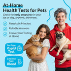getTested Early pregnancy test for dogs and cats