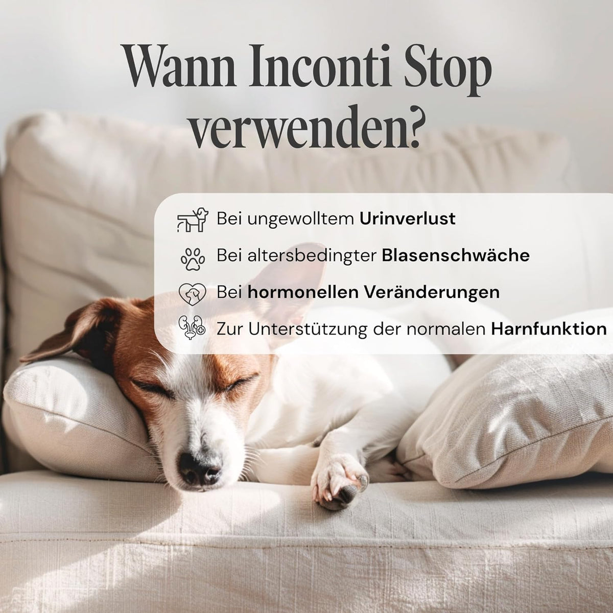 Inconti Incontinence Products 90 tablets