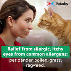 Pataday Once Daily Allergy Eye Drops for Itchy Eyes, 2.5 mL, 2 Pack