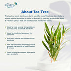 Air Fresheners 250 ml