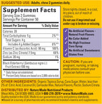 Nature Made Elderberry Gummies with Vitamin C & Zinc, 100 Gummies