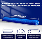 MELT Method 36 Inch Half Foam Roller for Back w/FasciaTherapy Technology - Low Density Soft Foam Roller for Physical Therapy - Half Round & Soft - Great for Pilates & Gentle Muscle Recovery