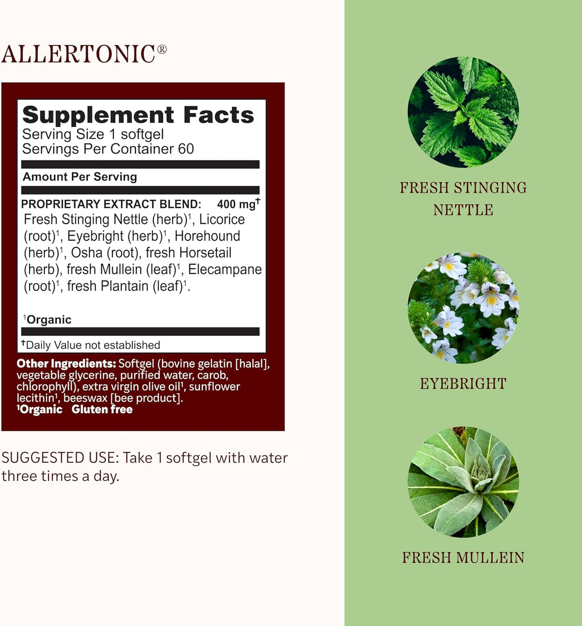 Herbs Etc. Allertonic Softgels, Herbal Allergy Supplement, 60 Count | Herbal Allergy Supplement with Organic Fresh Stinging Nettle, Eyebright, and Mullein for Respiratory Support, Non-Drowsy