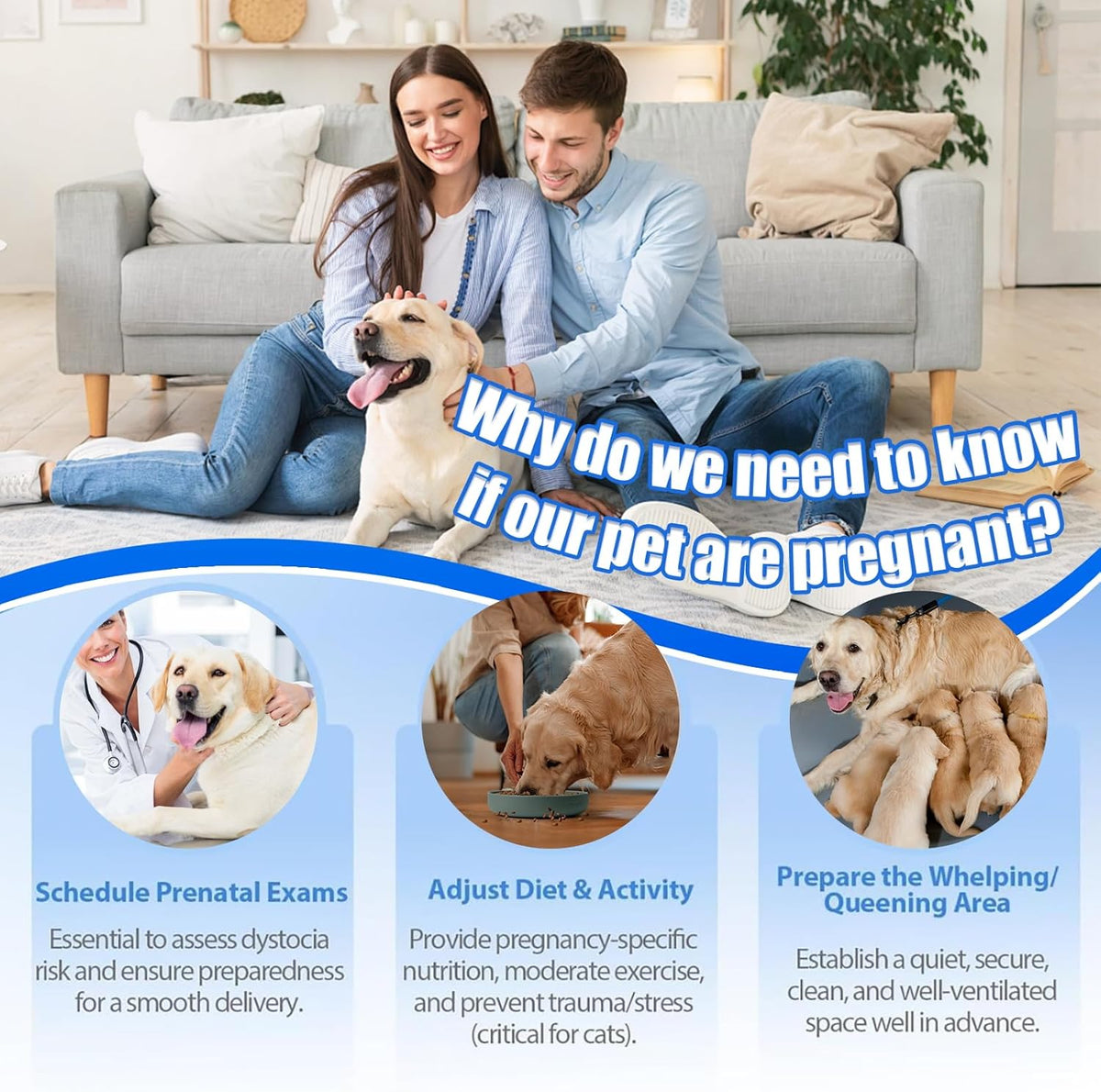 Dog & Cat Urine Pregnancy Test Kit at Home, 5-Minute Fast & Accurate Results up to 99%, Painless & No Blood Draw, Easy Test Strips for Pet Owners & Breeders