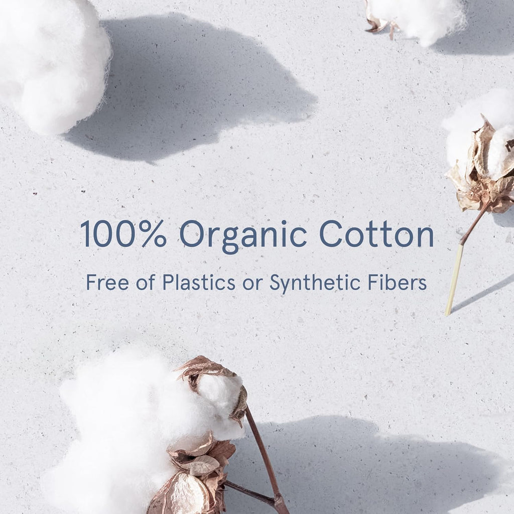 LOLA 100% Organic Cotton Tampons with Cardboard Applicator, Regular