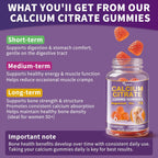 (3 Pack) Calcium Citrate 1200 mg for Women,Calcium Magnesium Zinc Vitamin D3 Gummies,High Absorption Calcium Chews Supplement for Bone,Teeth and Muscle Healthy,Sugar Free,Vegan,Non-GMO,Orange Flavor