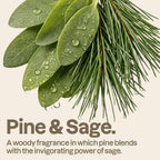 ATTITUDE Liquid Hand Soap, EWG Verified, Plant and Mineral-Based, Vegan Personal Care Products, Pine & Sage, 16 Fl Oz