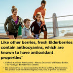 Nature Made Elderberry Gummies with Vitamin C & Zinc, 100 Gummies