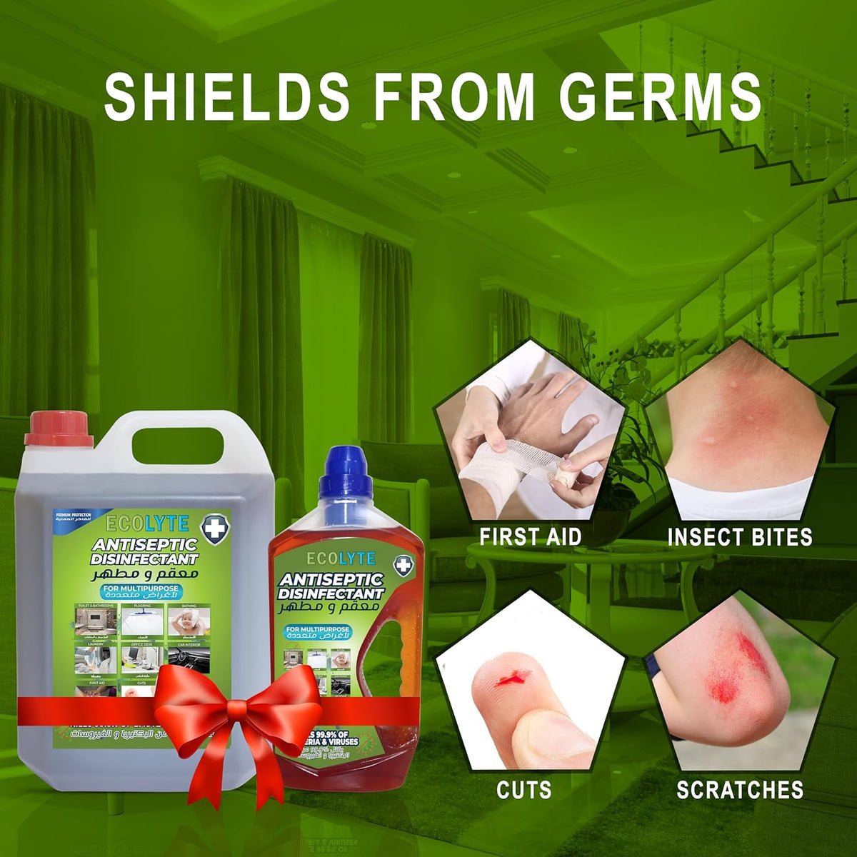 ECOLYTE+ Disinfectants 1 L 5 L