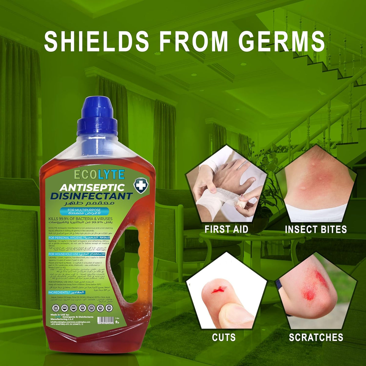 ECOLYTE+ Disinfectants 1 L