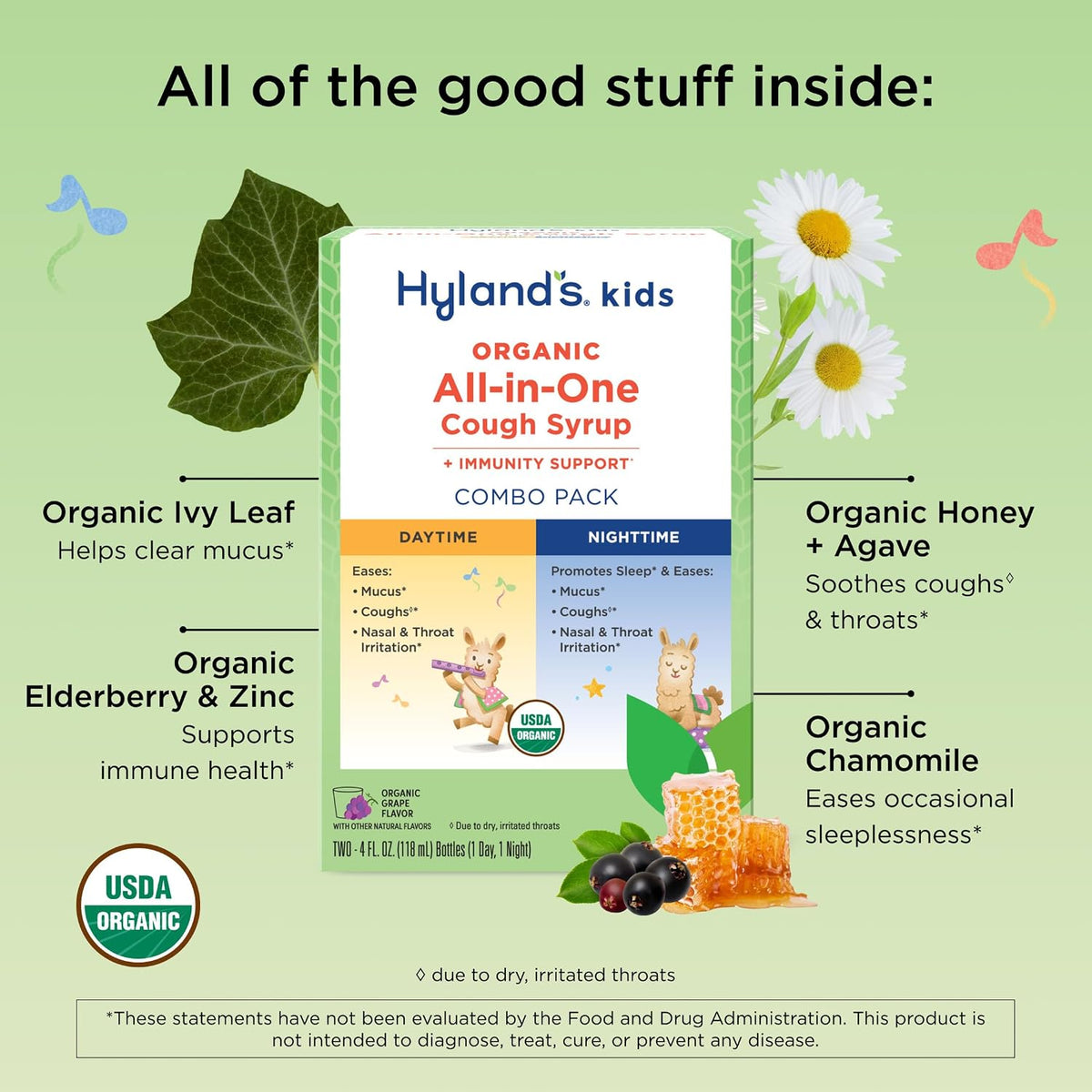 Hyland's Kids Cough Syrup All-in-One Day+Night 2-Pack, Organic (Grape) 8oz