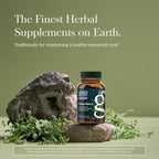 Gaia Herbs Vitex Berry Dietary Supplements 60 capsules