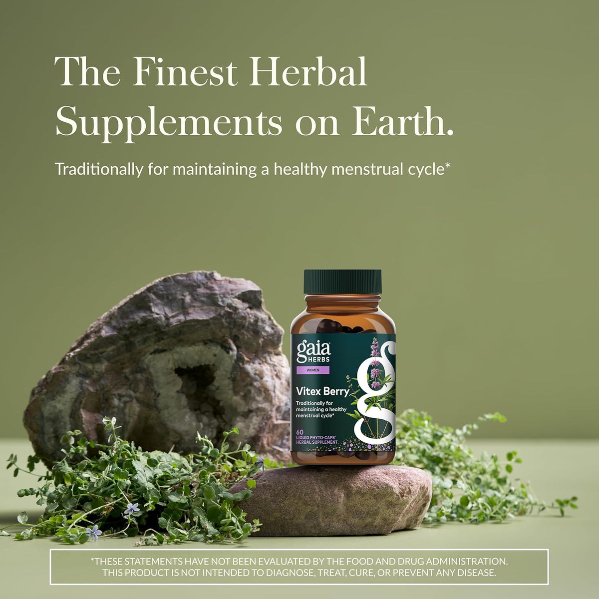 Gaia Herbs Vitex Berry Dietary Supplements 60 capsules
