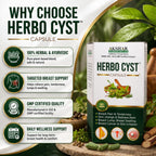 Akshar Ayurved Herbo Cyst Ayurvedic Breast Health Support Capsules | Herbal Supplement | Natural Hormonal Balance & Wellness Support for Women | 100% Herbal Formula | Daily Care Capsules