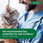 Advantage II Large Cat Vet-Recommended Flea Treatment & Prevention | Cats Over 9 lbs. | 2-Month Supply