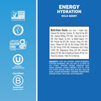 Nuun Energy Caffeine + B Vitamins Wild Berry, GF & Vegan, 8 Pack | 80 Servings with Caffeine from Green Tea Extract, Magnesium & 4 Other Electrolytes, Gluten Free, Vegan