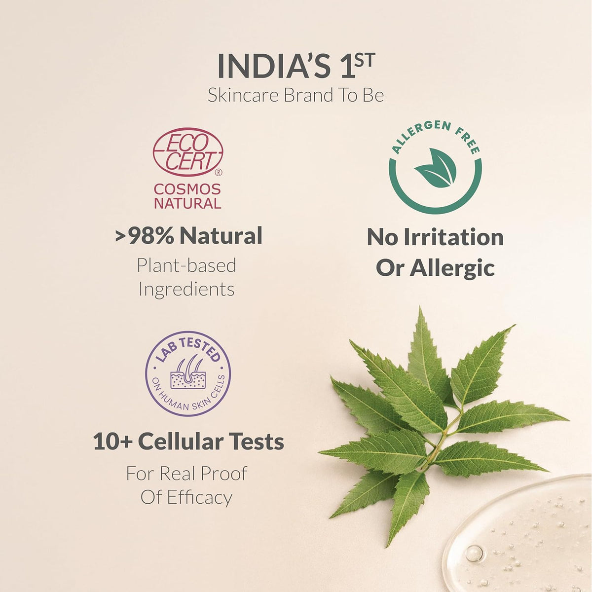 AreoVeda Natural Prebiotic Intimate Wash With Lactic Acid & Inulin | Helps Maintain pH Balance | Promotes A Healthy Skin Microbiome | Safe For Pregnancy| Lab Tested, Ecocert Certified, & EWG Verified (100ml)