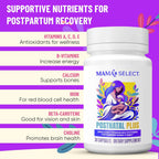 Postnatal Vitamins for Women – Breastfeeding & Postpartum Multivitamin | For nursing moms: supports postpartum recovery, energy, hair regrowth & milk supply, methylated folate, no biotin, vegan