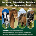 Bovine Pregnancy Test Kit - Includes 2 Tests, Rapid Results in 5-20 Minutes for Dairy & Beef Cows, Whole Blood, Serum & Plasma-Based Tests
