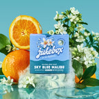 JUKEBOX Natural Women’s Bar Soap, Body Soap Bar (5oz, 1-Pack) | Shower & Bath Soap, Cold Process With Natural Oils, Gifts for Women, Sky Blue Malibu