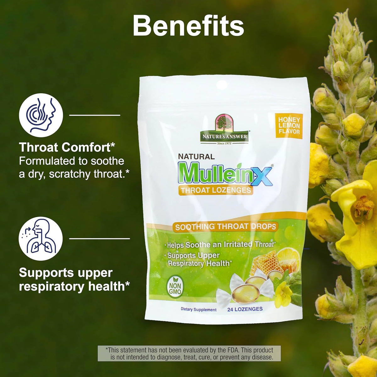 Nature's Answer Mullein-X Respiratory Soothing Throat Lozenges 24-Count - Alcohol-Free Herbal Cough Support with Mullein, Marshmallow, English Ivy & Honey - Non-GMO, Gluten-Free