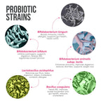 Healing Hands GutBio Probiotics + KiwiBiotic Prebiotic Combo| Daily Gut Health & Immunity| 25 Bn CFU 10 Strains + Kiwifruit Nutrients & Fibers| Essential Probiotics, Vitamins, Antioxidants, Prebiotic Fibers| 15-Day