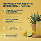 Flow Formulas Lemon Lime Endurance Drink Mix, Top 12 Allergen-Free, Carbohydrate & Electrolyte Sports Fuel Powder for Performance Training, High Carb Exercise Support, Gluten-Free - 10 Servings