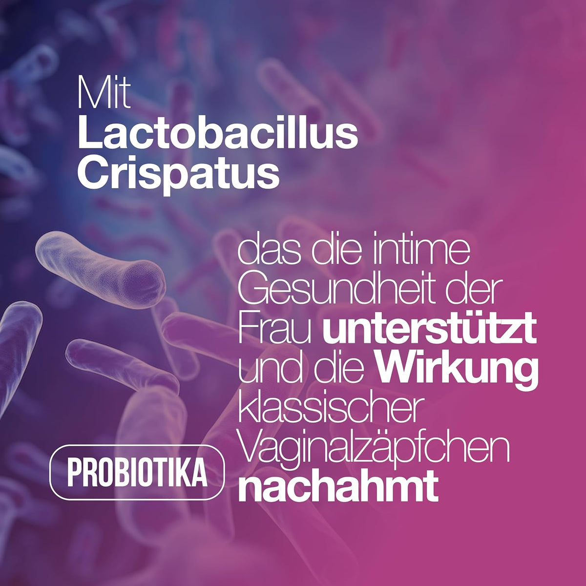 Milchsaurebakterien Probiotic Supplements 30 capsules
