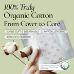 INERTIA Organic Pads for Women Regular Absorbency (10 Count) - The Most Organic Pads with The Best Absorbency, NO Petroleum-Based microplastic, Chlorine, Fragrance or Deodorant. (Pack of 1)