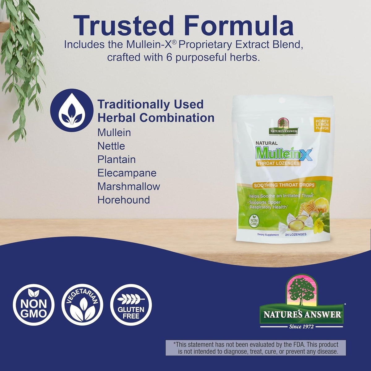 Nature's Answer Mullein-X Respiratory Soothing Throat Lozenges 24-Count - Alcohol-Free Herbal Cough Support with Mullein, Marshmallow, English Ivy & Honey - Non-GMO, Gluten-Free