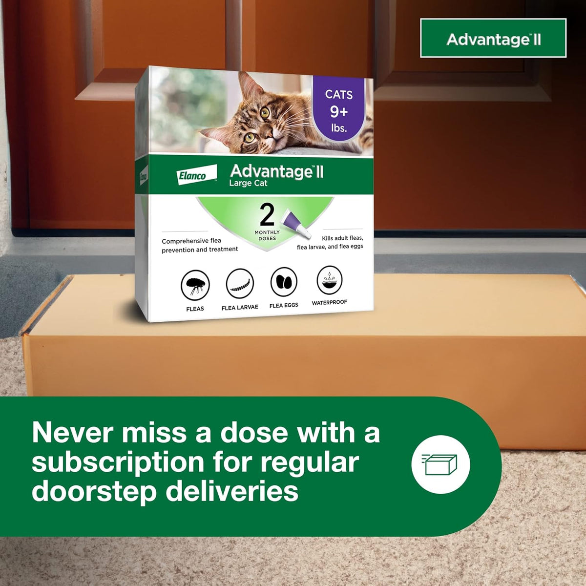 Advantage II Large Cat Vet-Recommended Flea Treatment & Prevention | Cats Over 9 lbs. | 2-Month Supply