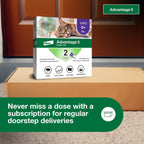 Advantage II Large Cat Vet-Recommended Flea Treatment & Prevention | Cats Over 9 lbs. | 2-Month Supply