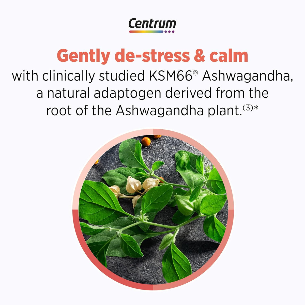 Centrum Clear Mind and Calm Mood Menopause Support Tablets, 30 Count | Powered by Clinically Studied Ingredients to Help Support Relief From the Disruptive Symptoms of Menopause, GLP-1 Support