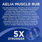 Sore Joint & Muscle Rub | Fast Acting Intensive Muscle Balm with Hemp Menthol Arnica & Camphor for Back Shoulder Neck Knees and Feet Targeted Relief | Long Lasting Non-Greasy & Lightweight (2 Pack)