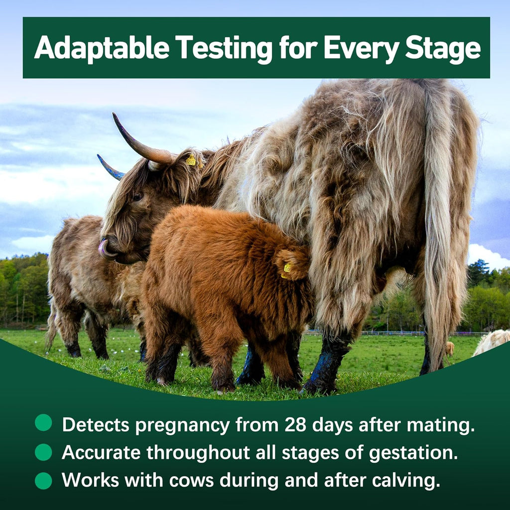 Bovine Pregnancy Test Kit - Includes 2 Tests, Rapid Results in 5-20 Minutes for Dairy & Beef Cows, Whole Blood, Serum & Plasma-Based Tests