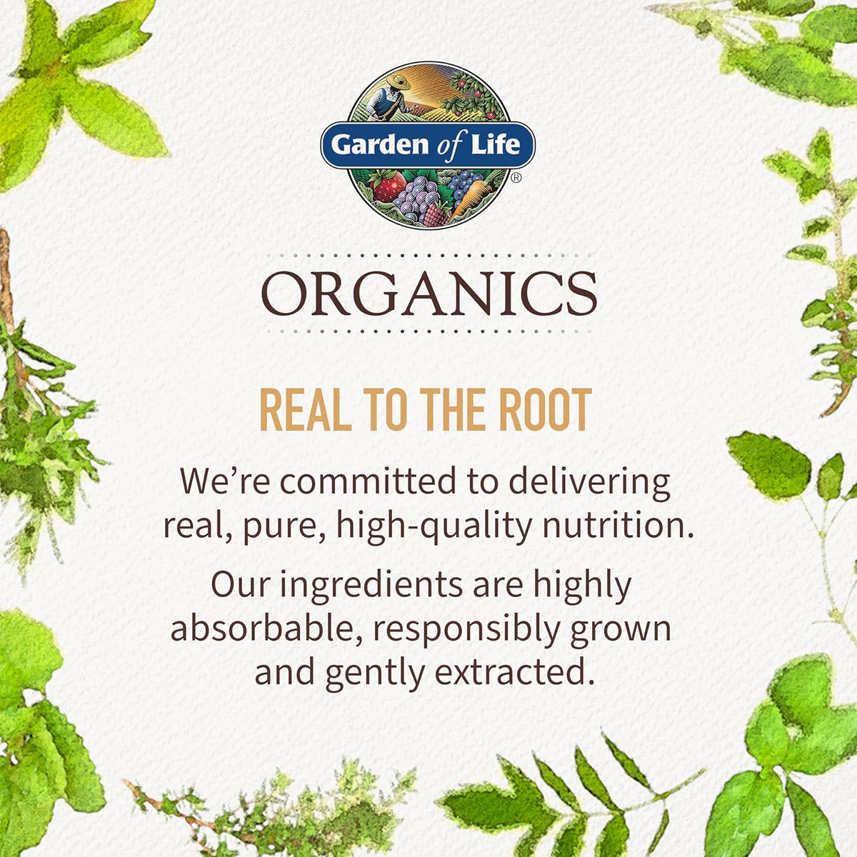 Garden of Life Organics Women's Multivitamin, USDA Organic, 60 Tablets | Vitamin C, D3, Folate, B12, Biotin & Iron, Energy, Heart Health & Radiant Skin, Non-GMO, Vegan