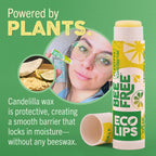 Eco Lips Bee Free Variety Vegan Lip Balm with Candelilla Wax, 3 pack | Nourishes Dry Lips | Plant-Based Ingredients | Cruelty Free | Long-Lasting Moisture | Cruelty & Petroleum Free