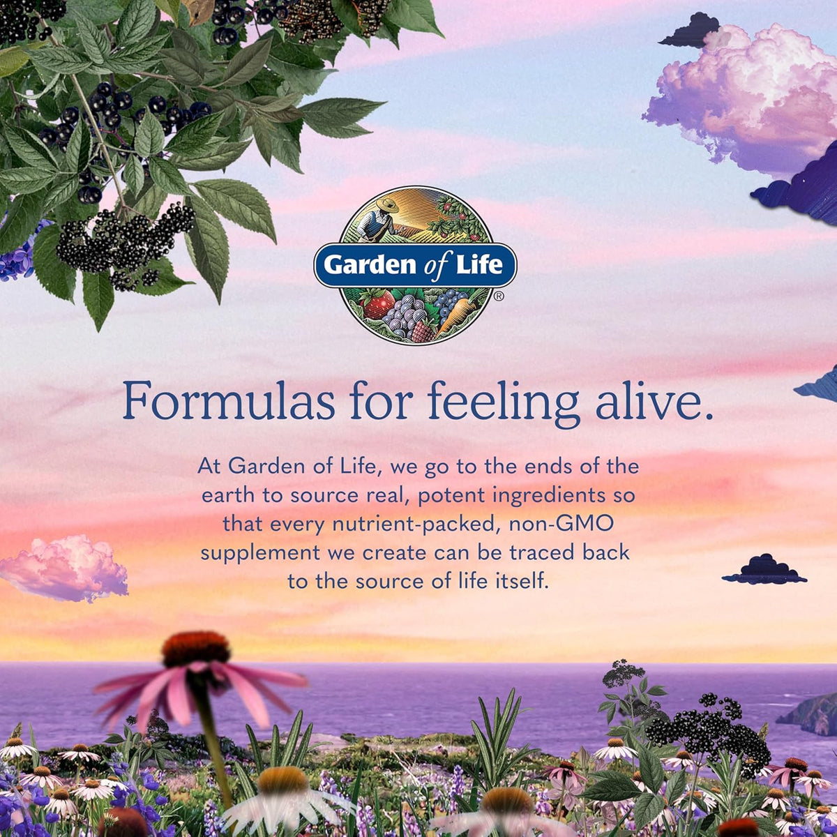 Garden of Life Organics Prenatal Once Daily with Folate, Vitamin C, B6, B12 & D3 – Prenatal Vitamins for Women with Energy Metabolism Support for Healthy Fetal Development, Non-GMO, Vegan, 30 Tablets