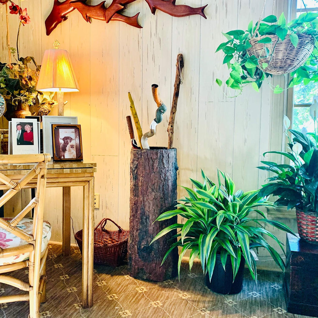 Country Stump ?? Vintage Farmhouse Umbrella Stand. Unique Indoor / Outdoor Walking Stick & Umbrella Holder. Rustic Home Entryway Log Bin.