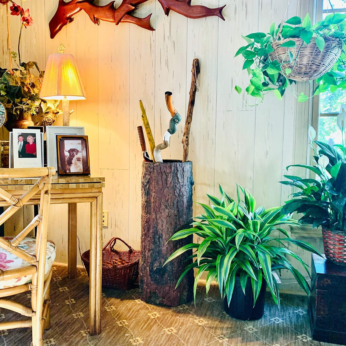 Country Stump ?? Vintage Farmhouse Umbrella Stand. Unique Indoor / Outdoor Walking Stick & Umbrella Holder. Rustic Home Entryway Log Bin.