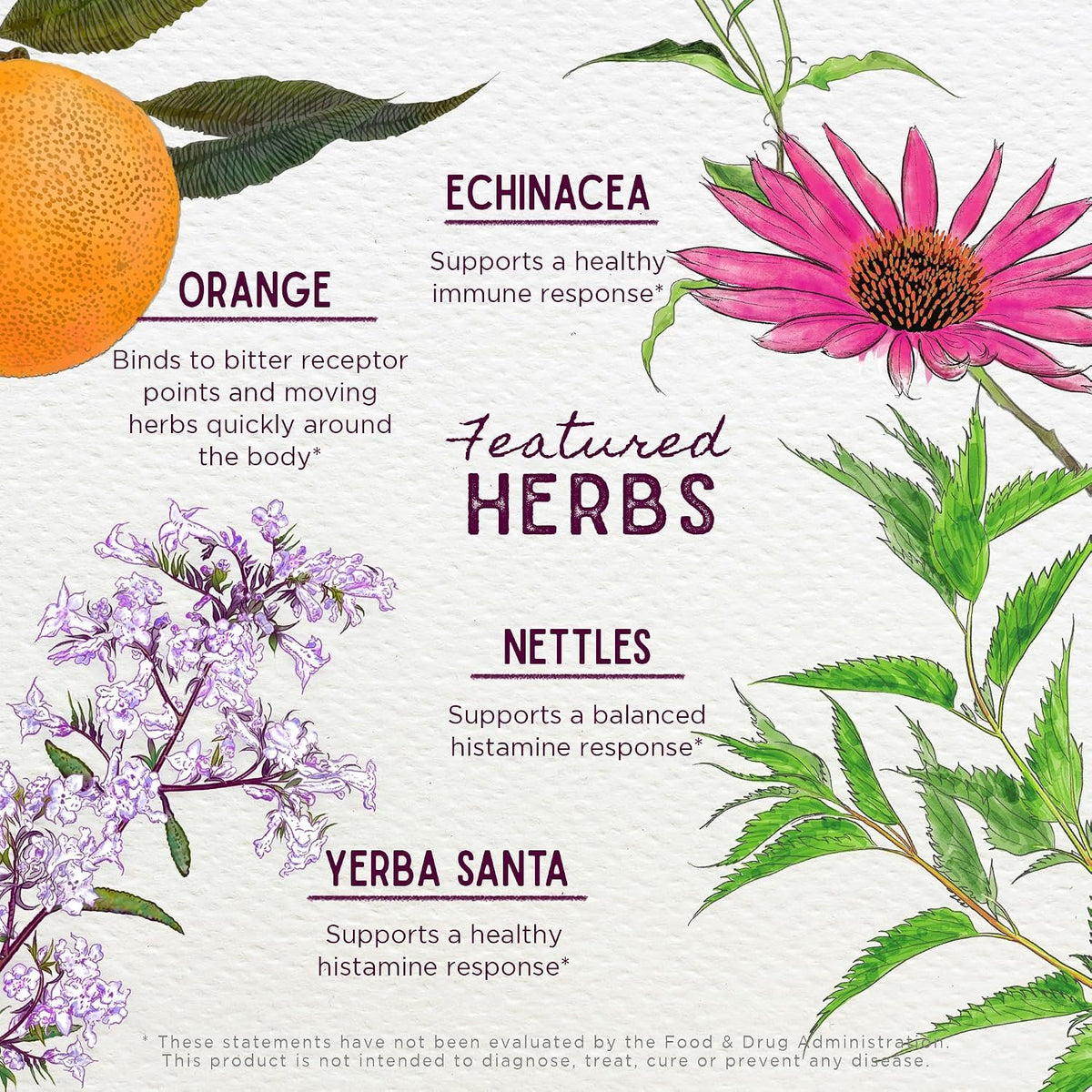 WishGarden Herbs Kick-Ass Allergy Seasonal Rescue, Non-Drowsy, 4oz | Nettle Leaf & Echinacea, Eases Sneezing, Sniffles & Itchy Watery Eyes, Fast-Acting, Vegan