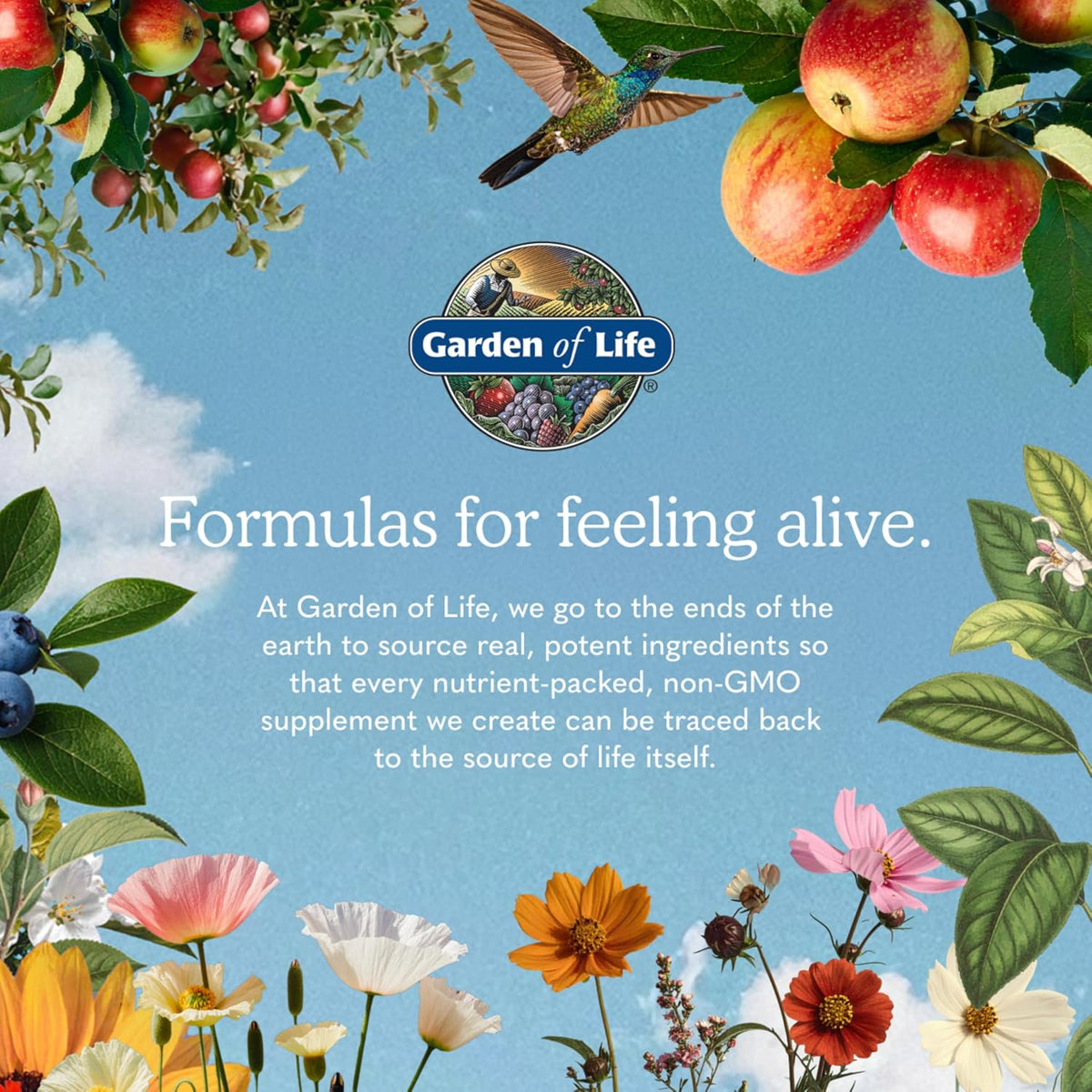 Garden of Life Once Daily Whole Food Multivitamin for Men, Organic Mens Vitamins & Minerals, Vitamin C, Zinc, Vegan, for Health & Well-Being, 60 Tablets | Organic Mens Vitamins & Minerals, Vitamin C, Zinc, Vegan, For Health & Well-Being, Whole Food