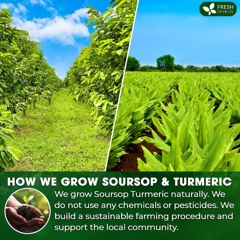 FreshDrinkUS, Premium 60 Soursop Turmeric Tea Bags, 100% Natural, Blend of Soursop Leaves, and Turmeric Root. No Sugar, Vegan.