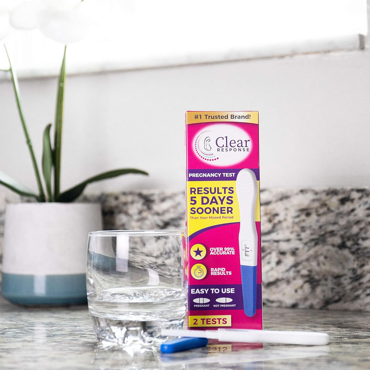 Pregnancy Test Kits
